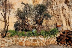 Exterior Cueva Cascamorras 13
